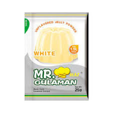 Mr Gulaman 10x25g