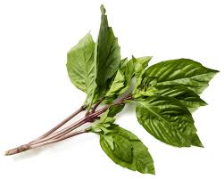 Thai Basil 100g