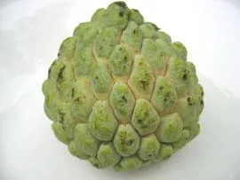 Atis / Custard Apple